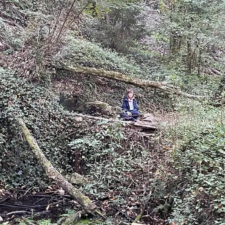 Niuet Ulldemolins